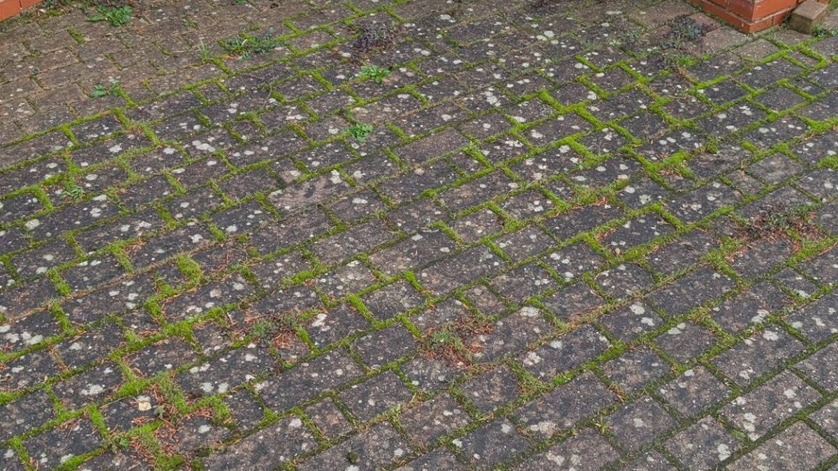 Before: Driveways, Patios & Decking