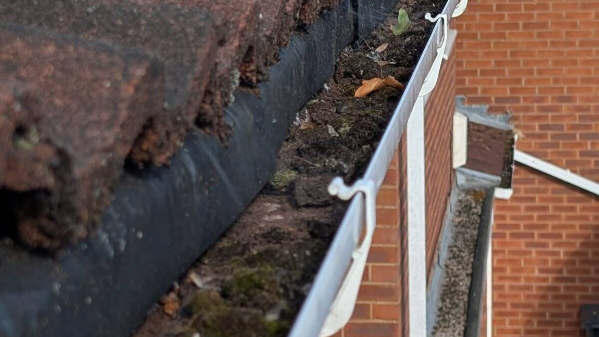 Before: Gutter Clearance