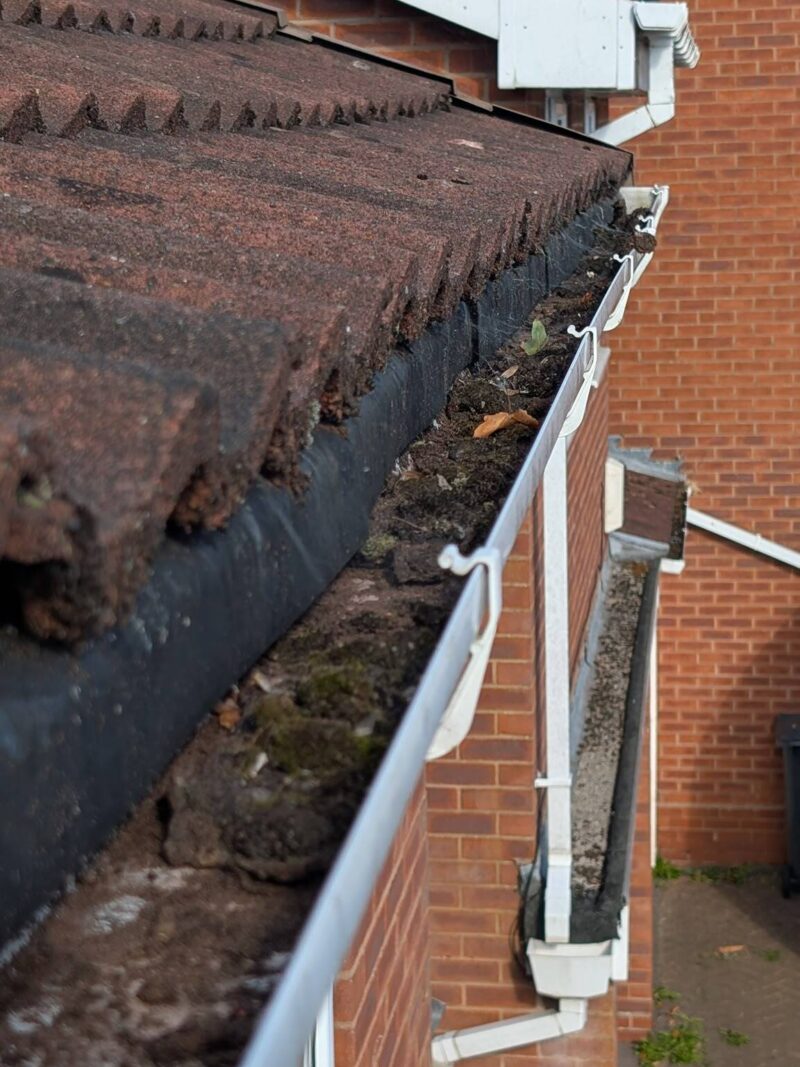 Before: Gutter Clearance