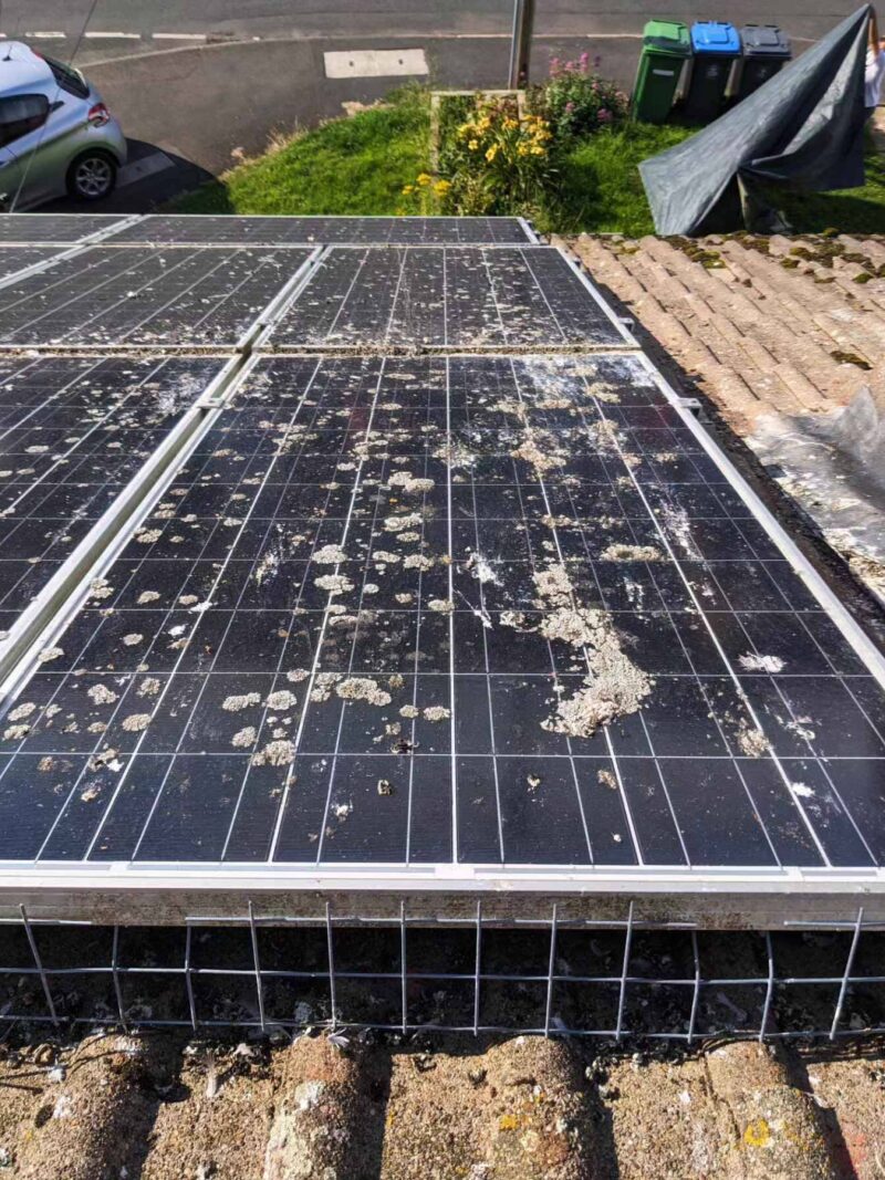 Before: Solar Panel Cleaning