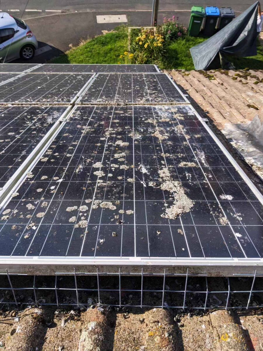 Before: Solar Panel Cleaning